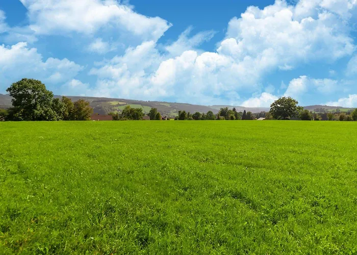 Roomy Getaway Near F1 Feriehus Stavelot